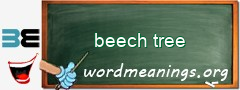 WordMeaning blackboard for beech tree